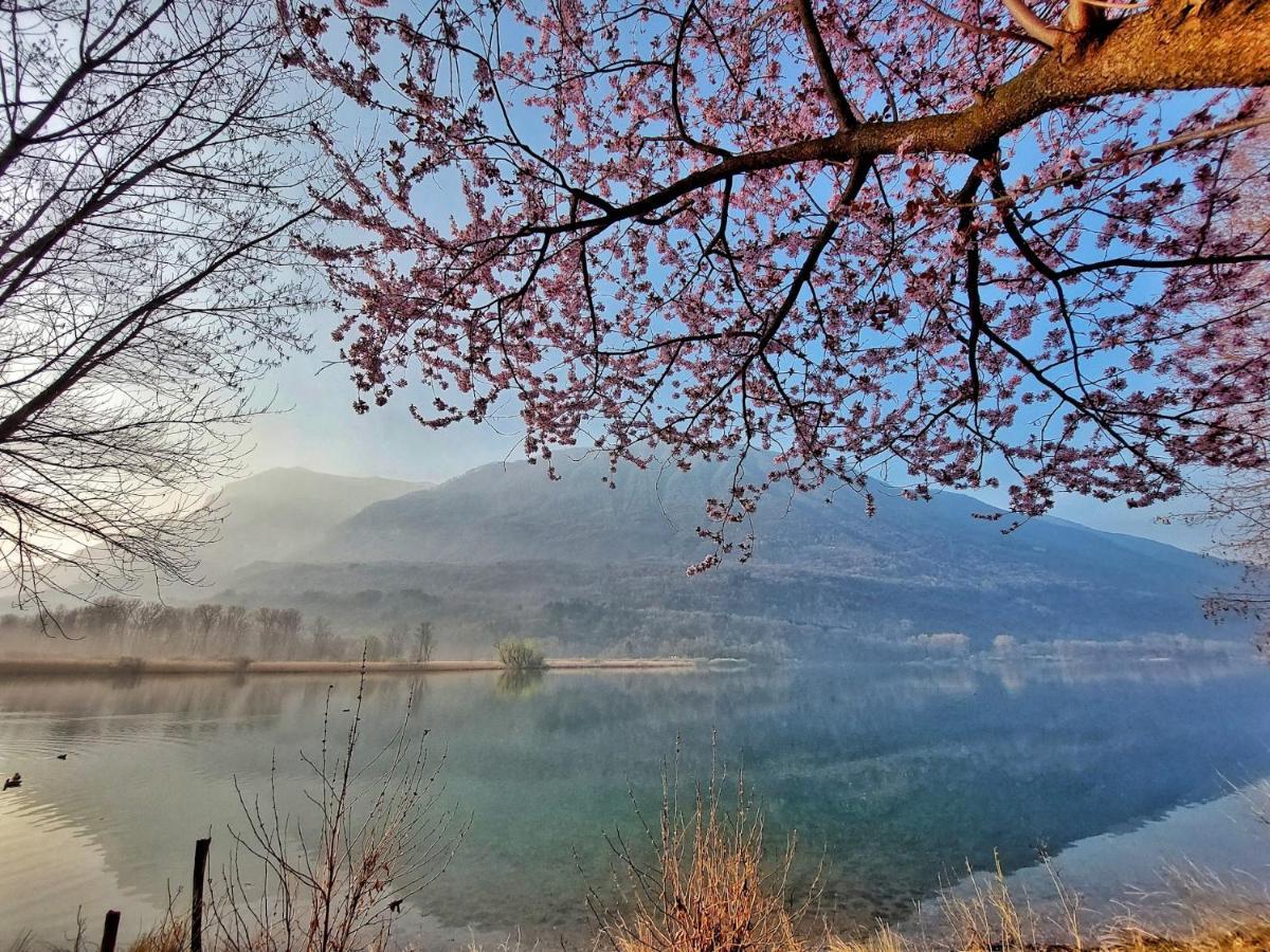 Villaggio Turistico Il Lago Dorato Carlazzo Exteriör bild