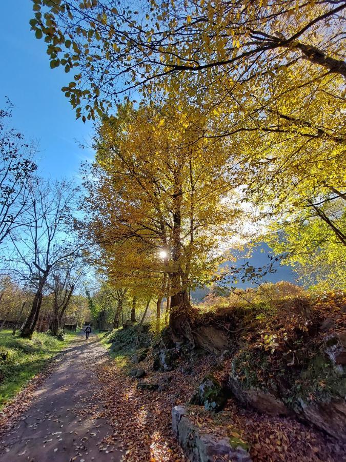Villaggio Turistico Il Lago Dorato Carlazzo Exteriör bild