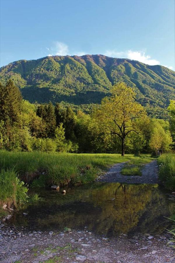 Villaggio Turistico Il Lago Dorato Carlazzo Exteriör bild